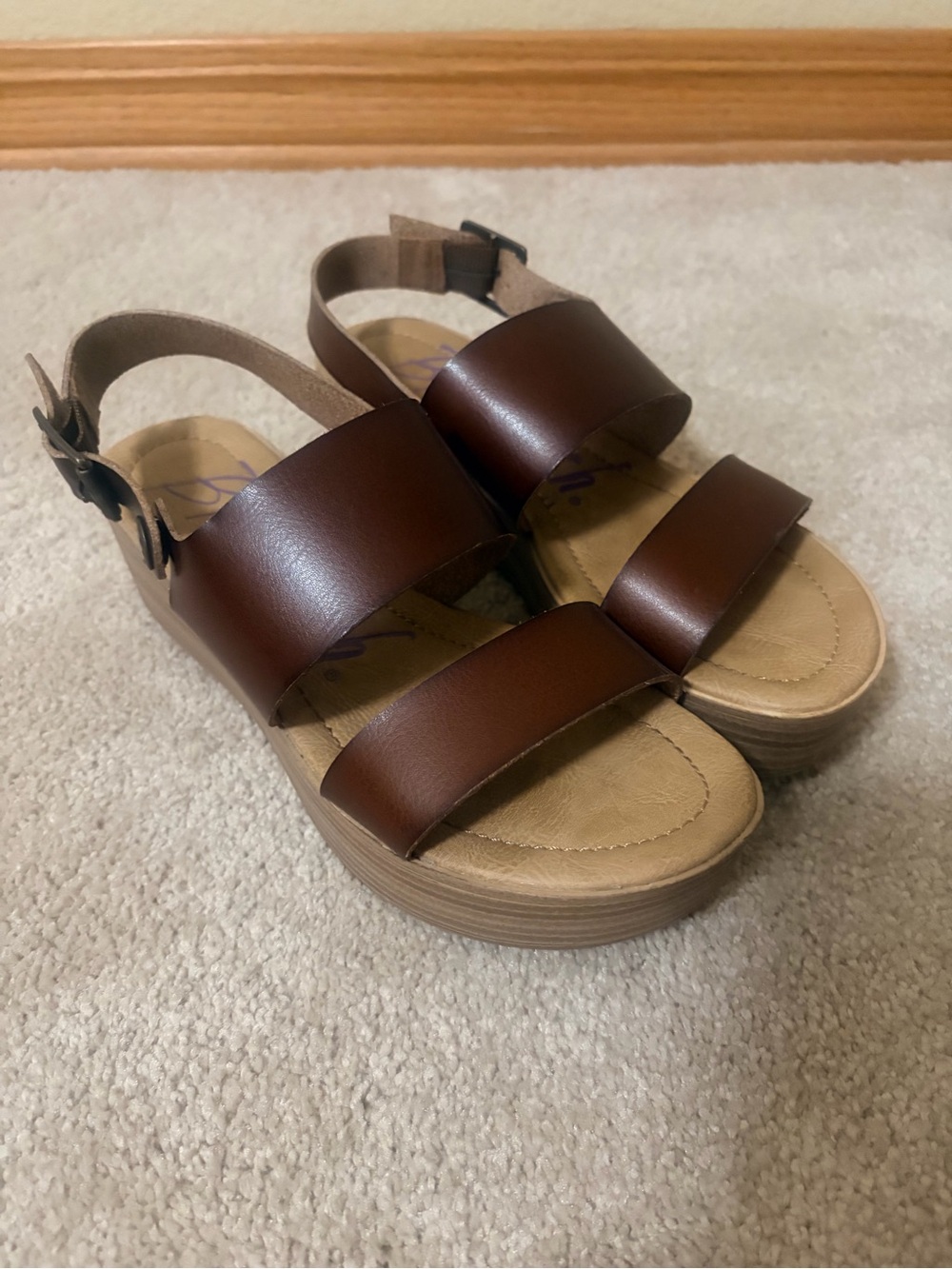 Blowfish Malibu Platform Sandal in Dark Brown, size 6.5